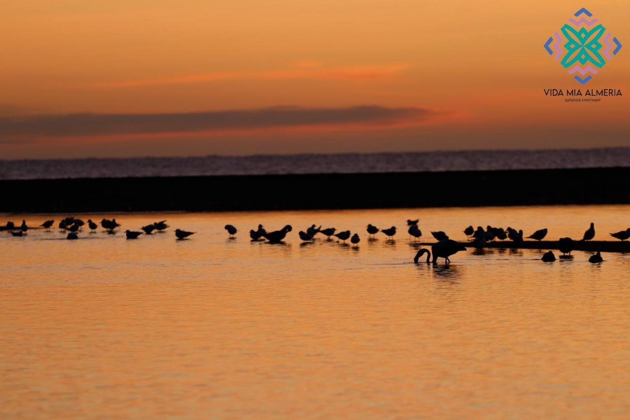 Vida Mia Almeria L'Île-Rousse Dış mekan fotoğraf