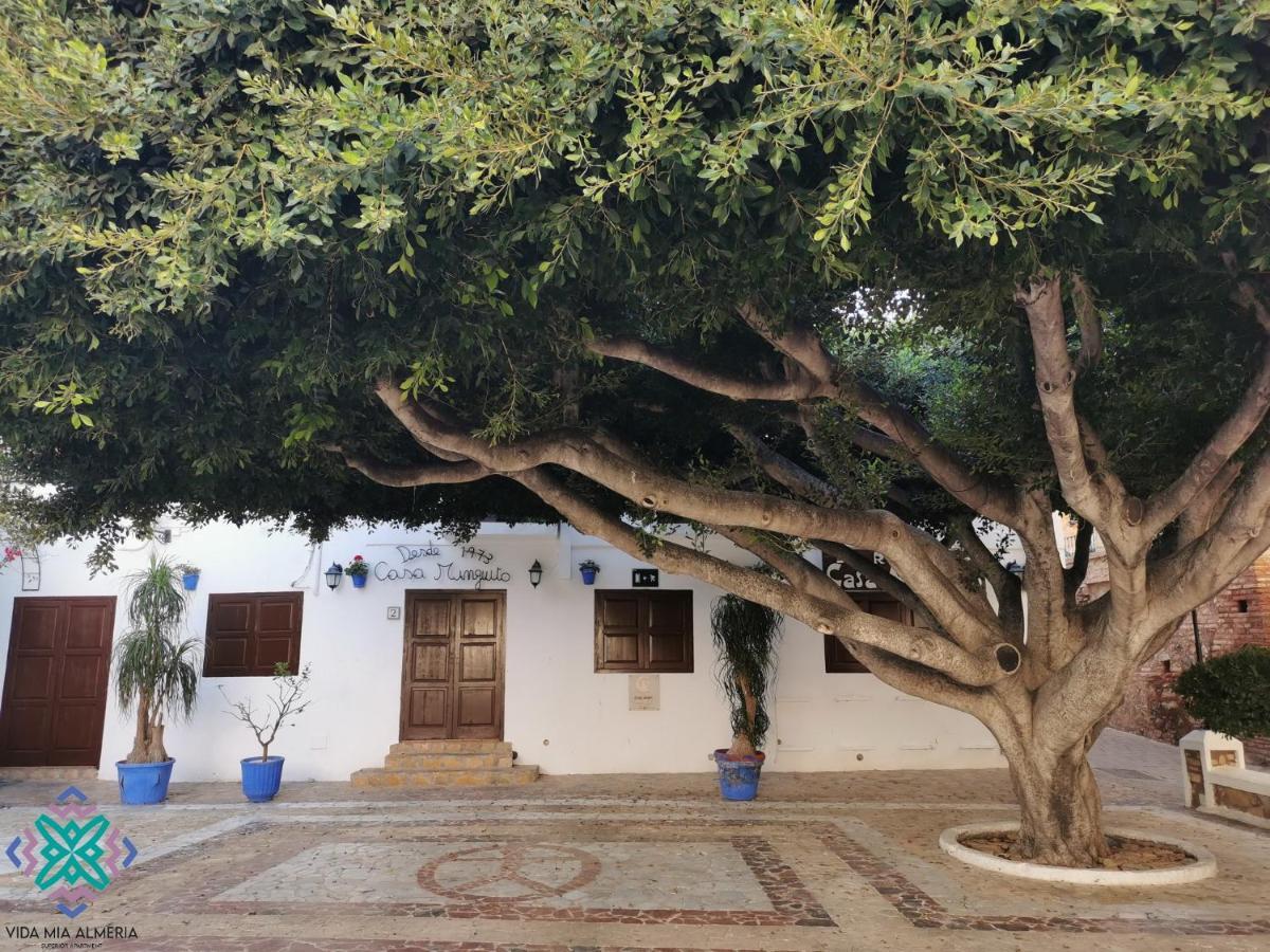 Vida Mia Almeria L'Île-Rousse Dış mekan fotoğraf