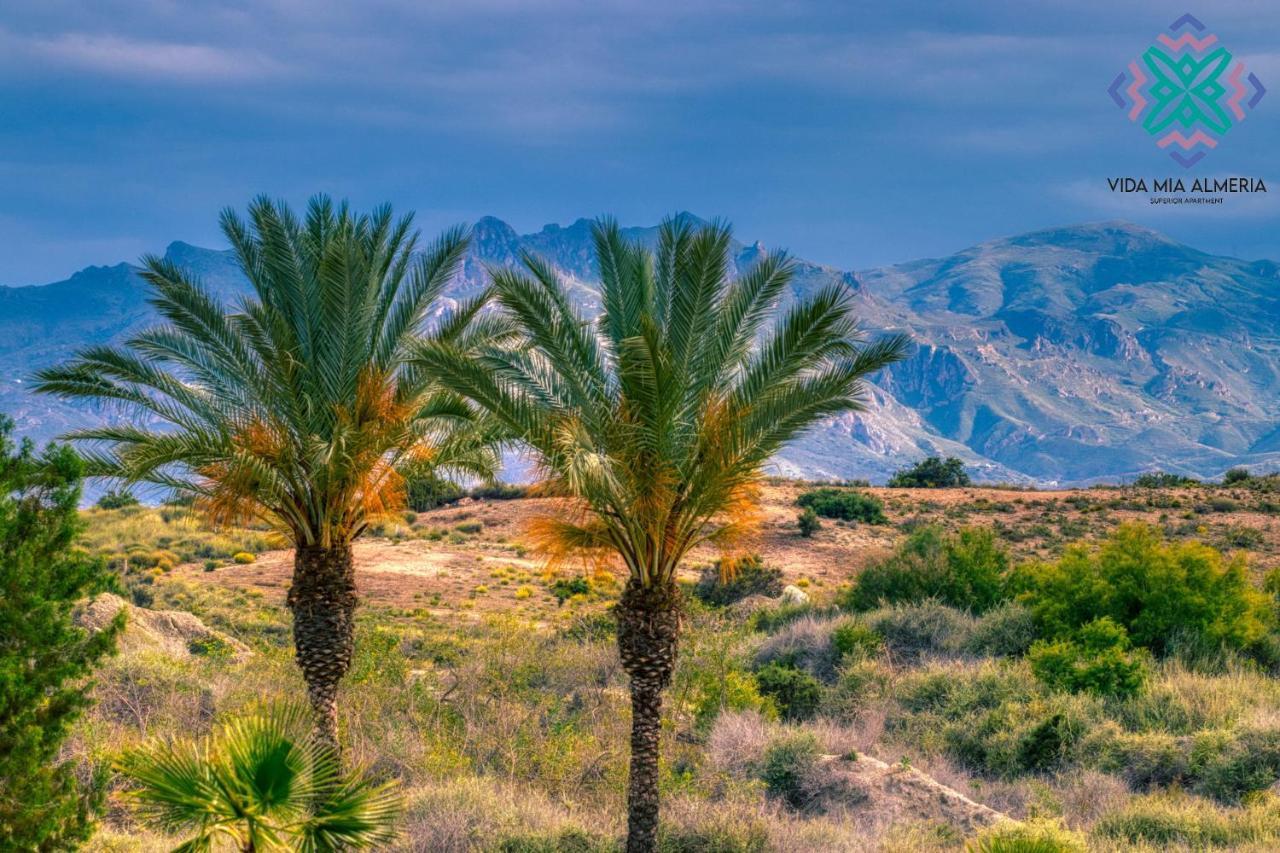 Vida Mia Almeria L'Île-Rousse Dış mekan fotoğraf